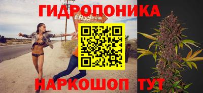 мдпв Шелехов