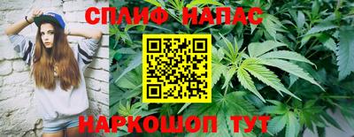 трава Шебекино