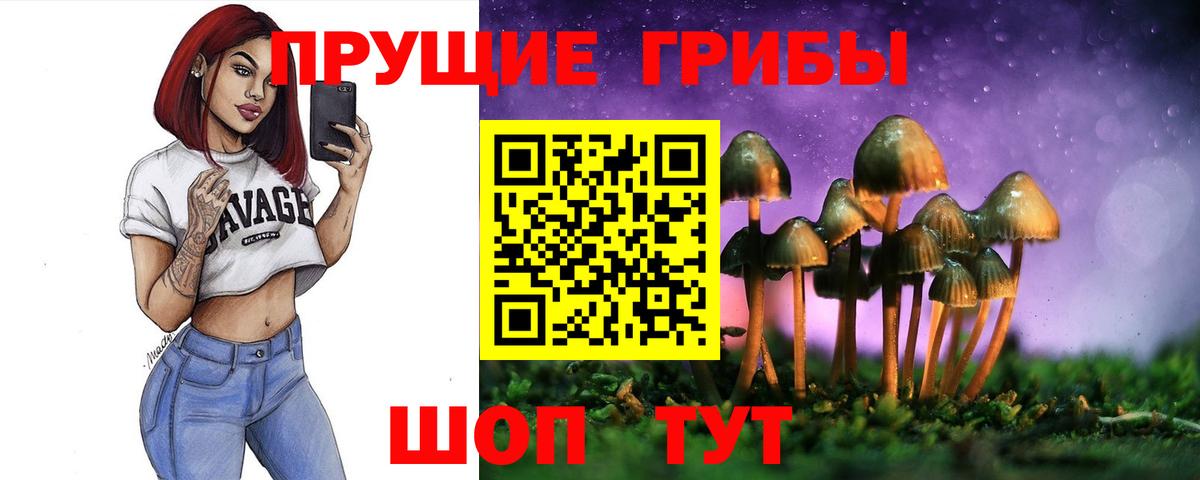 Галлюциногенные грибы MAGIC MUSHROOMS  Вход с VPN  Кашира 