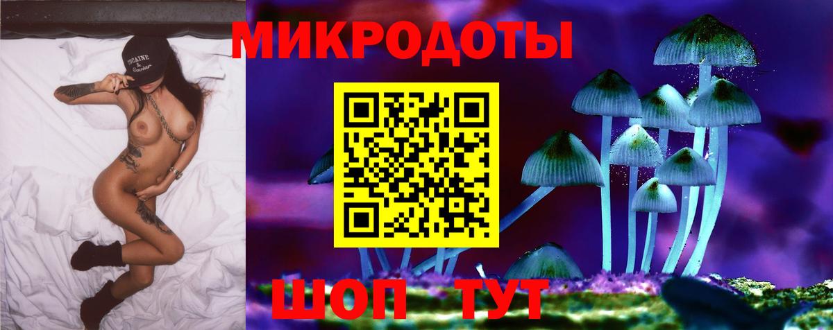 Псилоцибиновые грибы Psilocybine cubensis Кашира